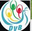 DVB News